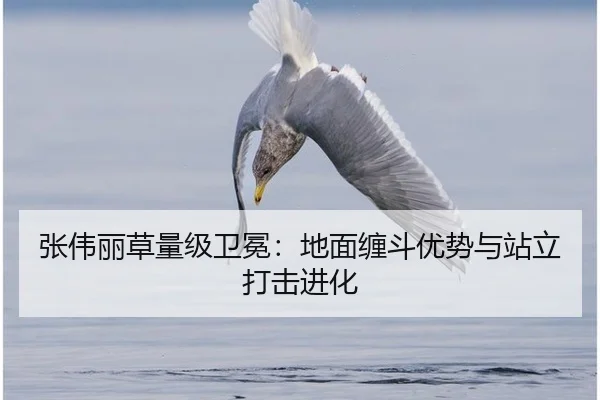 张伟丽草量级卫冕：地面缠斗优势与站立打击进化