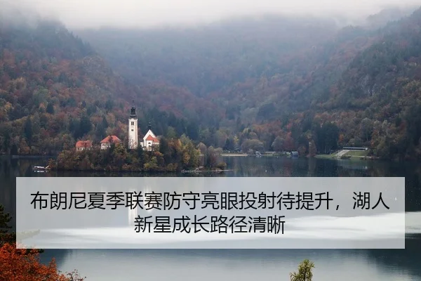 布朗尼夏季联赛防守亮眼投射待提升，湖人新星成长路径清晰