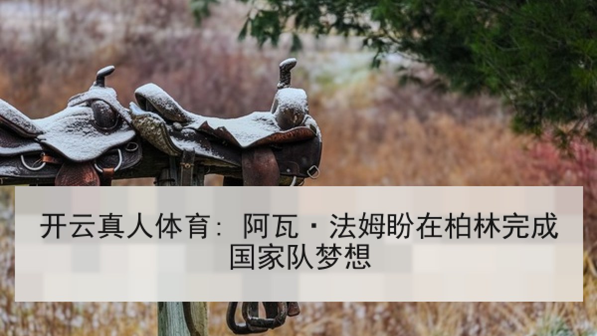开云真人体育: 阿瓦·法姆盼在柏林完成国家队梦想